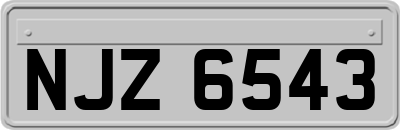 NJZ6543