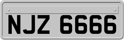 NJZ6666