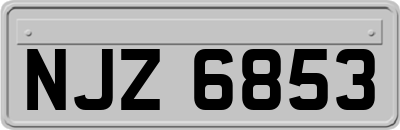 NJZ6853