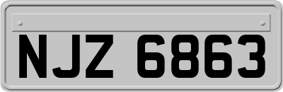NJZ6863