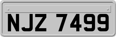 NJZ7499