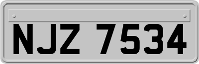 NJZ7534