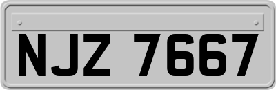 NJZ7667