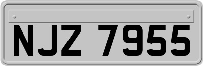 NJZ7955