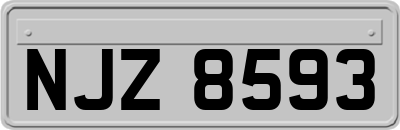 NJZ8593