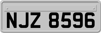 NJZ8596