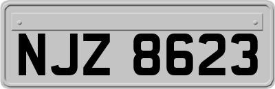 NJZ8623