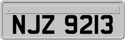 NJZ9213