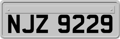 NJZ9229