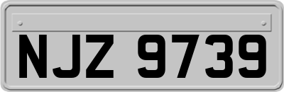NJZ9739