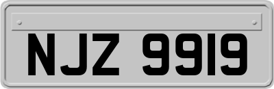 NJZ9919