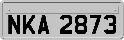 NKA2873