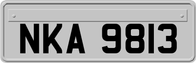 NKA9813