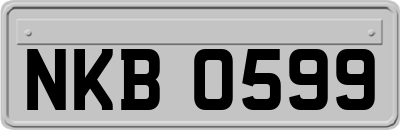 NKB0599