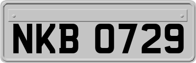 NKB0729