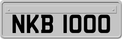NKB1000