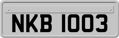 NKB1003