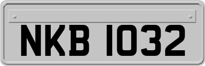 NKB1032