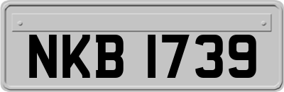 NKB1739