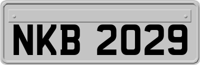 NKB2029
