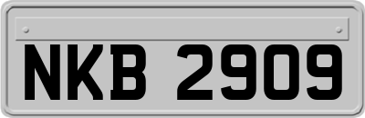 NKB2909