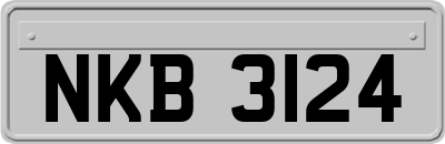 NKB3124