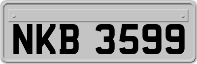 NKB3599