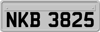 NKB3825