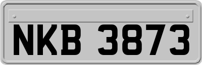 NKB3873