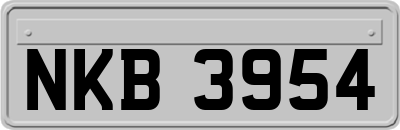 NKB3954