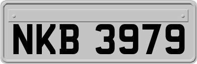 NKB3979