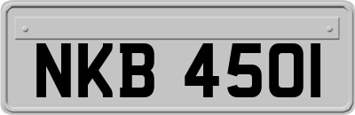 NKB4501
