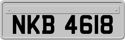 NKB4618