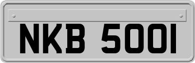 NKB5001