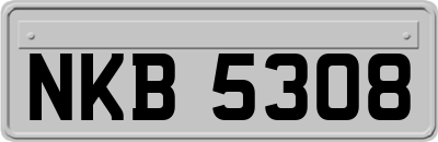 NKB5308