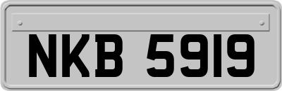 NKB5919