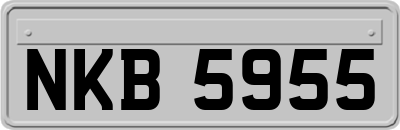 NKB5955