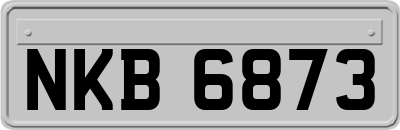 NKB6873