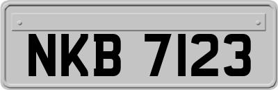 NKB7123