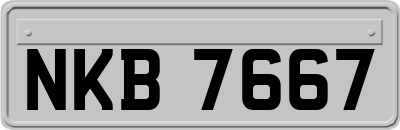 NKB7667