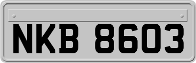 NKB8603