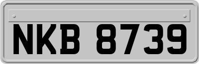 NKB8739