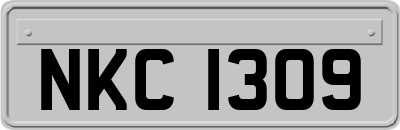 NKC1309