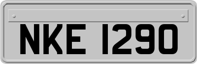 NKE1290
