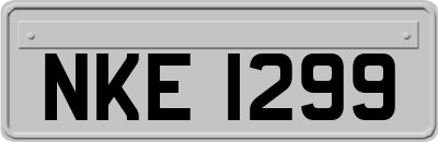 NKE1299