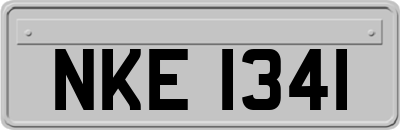 NKE1341