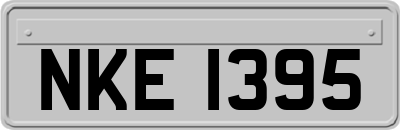 NKE1395