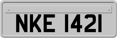 NKE1421
