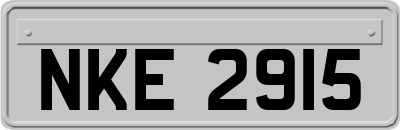 NKE2915