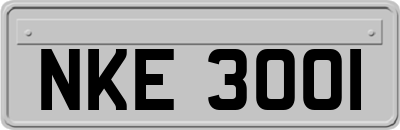 NKE3001